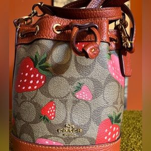 Coach Strawberry Mini Dempsey Bucket Bag